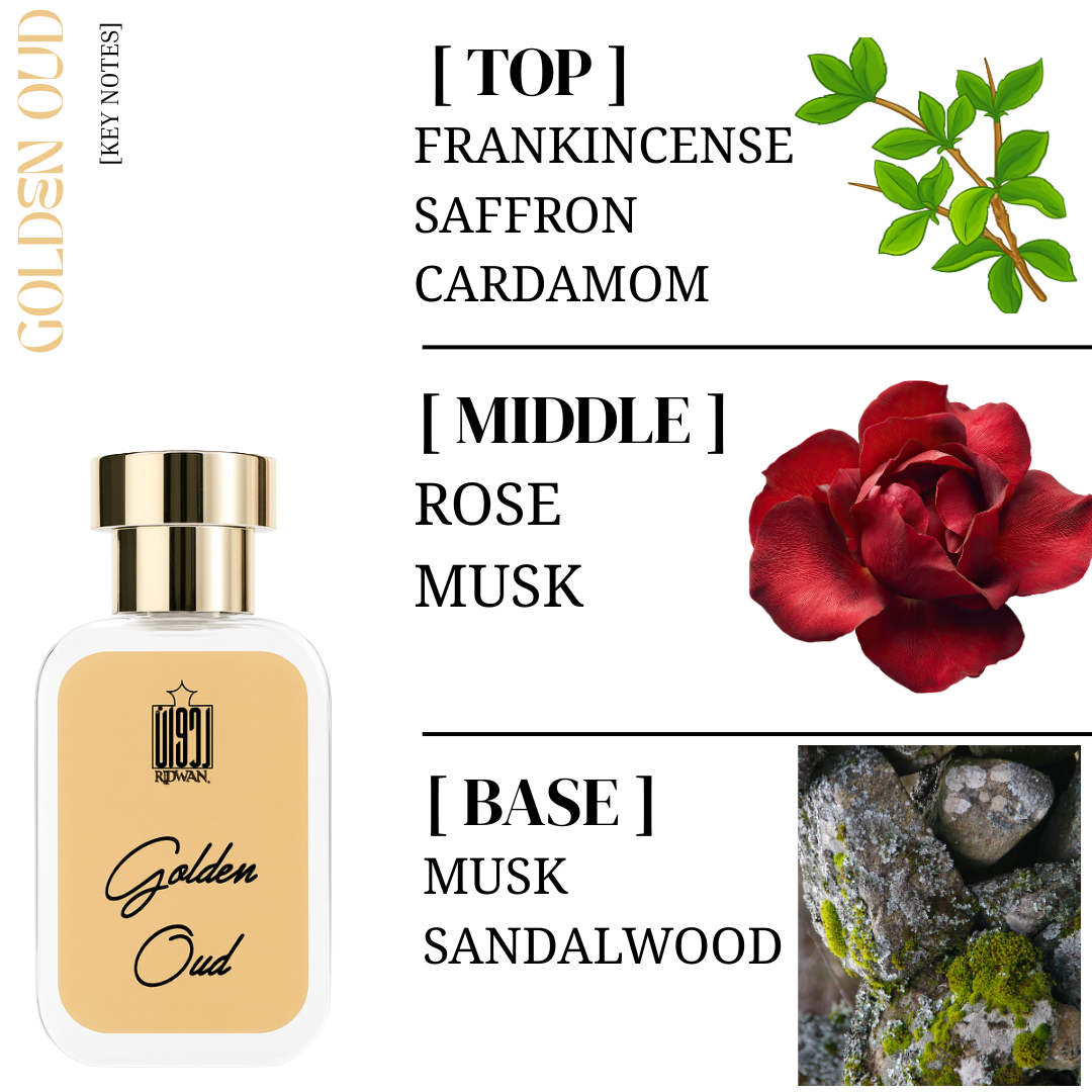 Luxury Perfume Combo Set Of 3 - 50ML Each